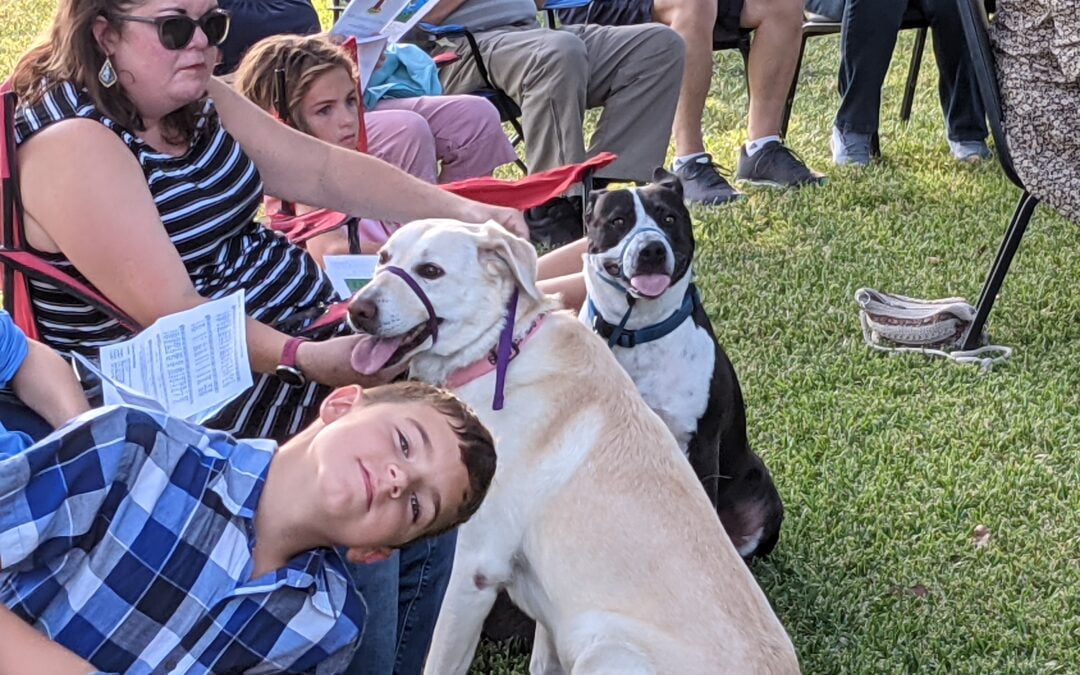 Happy Feast of St. Francis!