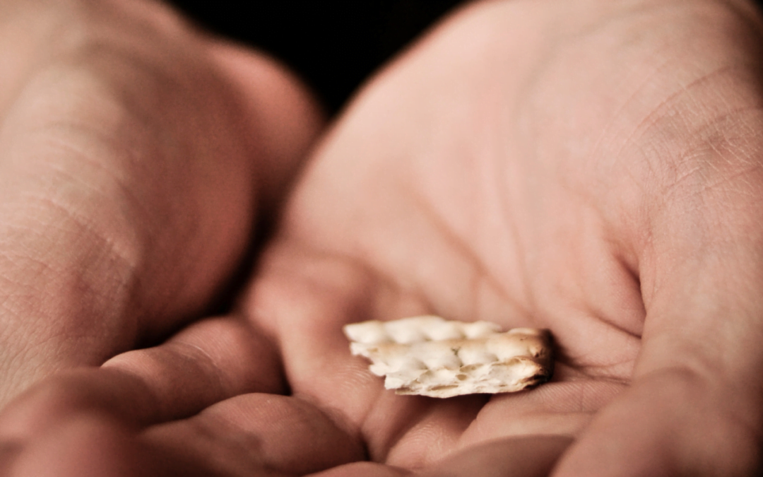 Lay Eucharistic Visitors