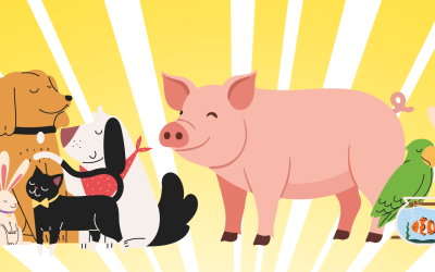 Blessing of the Animals